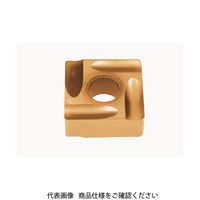 タンガロイ 旋削用G級ネガTACチップ GH110 SNGG120404R-P 1セット(10個) 345-1135（直送品）