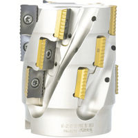 シュレッドミルP290 エンドミル P290 EPW 刃径40mm シャンク径40mm D40-4-250-W40-18 1個(1本)（直送品）