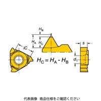 SANDVIK TーMax Uーロック ねじ切りチップ(330) 4125 R166.0L-11WH01-140 1セット(10個)（直送品）