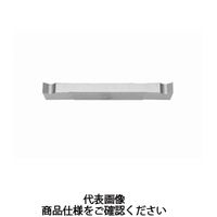 タンガロイ 旋削用溝入れTACチップ TH10 JCGN200FR 1セット(10個
