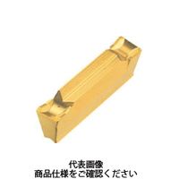 イスカル ドゥーグリップ IC20 DGN 5003C 1セット(10個) 162-5071（直送品）