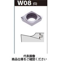 タンガロイ（Tungaloy） TACチップ（GB） EPGT040100R-W08:TH10（直送品）