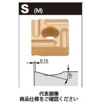 タンガロイ ＴＡＣチップ（ＧＦ） 1セット（10箱入）_119