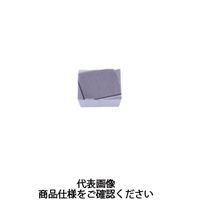 タンガロイ TACチップ(GB) SPGR090304L:NS9530 1セット(10個:1個×10箱)（直送品）