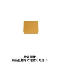 タンガロイ TACチップ(GG) SPMN120308:NS9530 1セット(10個:1個×10箱)（直送品）