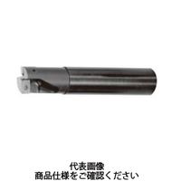 タンガロイ（Tungaloy） TACカッター（KB） EVX12025RLA 1個（直送品）