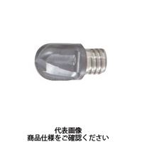 タンガロイ　エンドミル（ＫＪ）　　VBB120L12.0-BM-02S08:AH725　1セット（2箱入）　　（直送品）