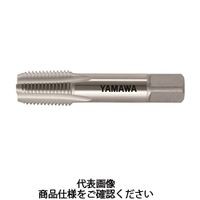 彌満和製作所 NPTハンドタップT (HSS) SーNPT 3/8 ー 18 T S-NPT - 1本（直送品）