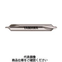 その他 yama サングラスブランド IZONE NEW YORK | アイゾーンニューヨーク