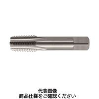 彌満和製作所 PTハンドタップCT 2 SーPT 1/4 ー 19 CT S-PT - 1本（直送品）