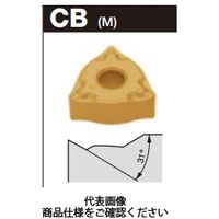 タンガロイ ＴＡＣチップ（ＧＦ） 1セット（10箱入）_31