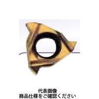 Carmex Precision Tools ISO内径ねじ切チップ60°P1.0 BXC 06IR1.0ISOBXC 1セット(10個)（直送品）