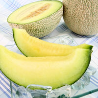 ジェイエイてんどうフーズ 【産地直送】 山形県産庄内メロンA(青肉) NO41 1セット（直送品）