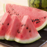 ジェイエイてんどうフーズ 【産地直送】 山形県産尾花沢すいか NO45 1セット（直送品）