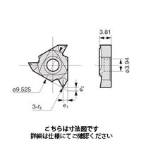 住友電工ハードメタル　チップ（SEC-ねじ切りバイトSSTE型用）