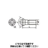 住友電工ハードメタル 部品 ネジ BFTX04513IP20 1セット(5個)（直送品）