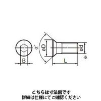 住友電工ハードメタル 部品 ネジ BFX0511L 1セット（10個）（直送品）