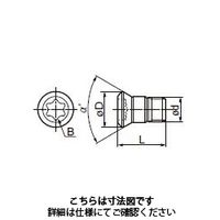 住友電工ハードメタル　部品（ねじ）