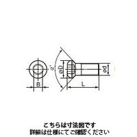 住友電工ハードメタル 部品 ネジ BHF0623 1セット(10個)（直送品）
