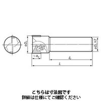 住友電工ハードメタル SEC-ライトミル FMS 通販 - アスクル 住友電工ハードメタル SEC-ライトミル FMS 通販 - アスクル