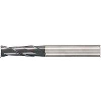 住友電工ハードメタル エンドミル GSX20600Sー3D:ACF20 1本（直送品）