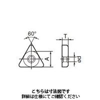 住友電工ハードメタル 部品 敷板 LST42:Z 1セット（2個）（直送品）