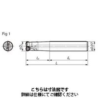 イスカル（ISCAR） イスカル ヘリ2000 HM90 E90A-D16-2-C16-LB 1個 203