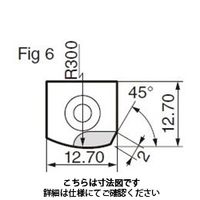 住友電工ハードメタル　チップ（スミボロンBNフィニッシュミルEASY用）