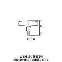 住友電工ハードメタル T 型スパナ（六角） TH050 1セット（2本）（直送品）