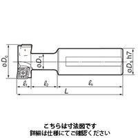 住友電工ハードメタル SEC-TスロットエンドミルTSE型 TSE2125 1本（直送品）