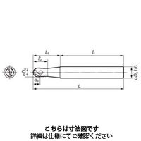 住友電工ハードメタル SEC-ウェーブボール WBMF1100L 1本（直送品）