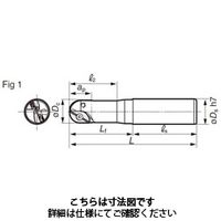 住友電工ハードメタル SECーウェーブボール WBMR2200M 1本（直送品）