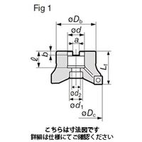 ワルタージャパン ワルター カートリッジ付きフェースミル F2010.B.100