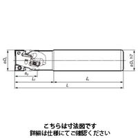 イスカル（ISCAR） イスカル ヘリ2000 HM90 E90A-D16-2-C16-LB 1個 203