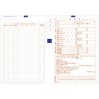 シンリョウ　カラーナンバー薬歴簿B-10　001761　1箱（100枚入）　（取寄品）