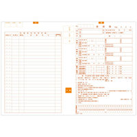シンリョウ　カラーナンバー薬歴簿B-60　001766　1箱（100枚入）　（取寄品）
