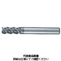 不二越 GSX MILL VL スロット 2.5D GSXVLSLT3160ー2.5D 1本（直送品）