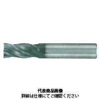 不二越 GSX MILL 4枚刃 2D GSX40100Cー2D 1本（直送品）