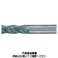 日進工具 NS 無限コーティング 2枚刃EM MSE230 Φ0.3X0.6 0.3X0.6