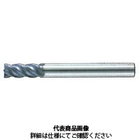 不二越 X’Sミルジオ 4XSGEO 30X25 1本（直送品）