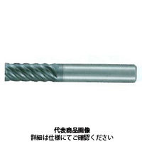 不二越 GSXMILL VL多刃 2.5D Ti・SUS用 GSXVL6120Tー2.5D 1本（直送品）