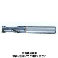 不二越 AGミル 2枚刃 ミディアム 2AGEM 5.5 x 8 1本（直送品）
