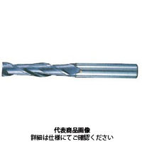 不二越 AGミル 2枚刃 ロング 2AGEL 3 x 6 1本（直送品）
