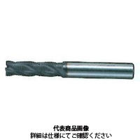不二越(NACHI) ハイスラフィングエンドミル ＡＧミル ロング AGREL 10 x 1本（直送品）
