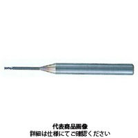 不二越 GSミル ロングネック 4枚刃 GSN型 GSN401001004 1 X 10 1本（直送品）