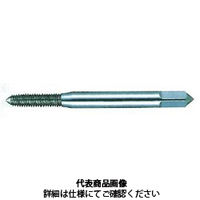 不二越(NACHI) ロールタップ タフレットーＳ TFS2.5M0.45X4XP 1セット（10本入）（直送品）