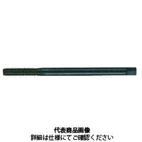 不二越(NACHI) ロールタップ タフレットスチール用 ロングシャンク TFSTL3M0.5X5XBX120 1セット（10本入）（直送品）