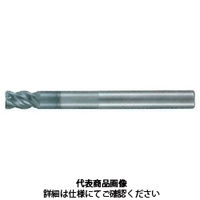 不二越 GSXMILLVLロングシャンクラジアスTiSUS用 GSXVLLS4030TーR05ー1.5D 1本（直送品）