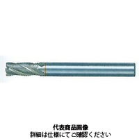 不二越（NACHI） SG-FAXラフィングエンドミルファインピッチショート ー4NT SGFRE 17X16 -4NT（直送品）