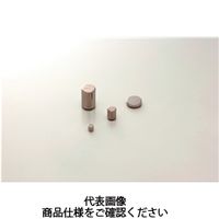 マグネットプラン ネオジュウム磁石 丸形 10個入り φ10×6 10X6 1セット（10個）（直送品）